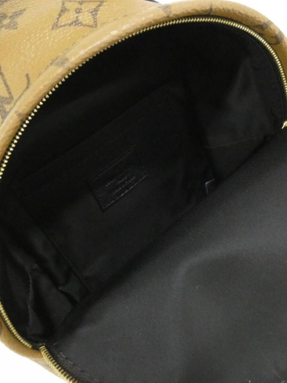Louis Vuitton Monogram Reverse Palm Springs Backpack Mini Rucksack - Picture 8 of 8